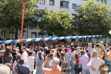 Der Maibaum hängt am Seil am Haken des Kranwagens der Berufsfeuerwehr.
